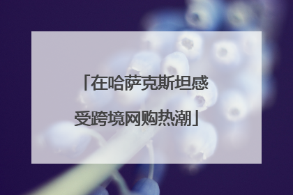 在哈萨克斯坦感受跨境网购热潮