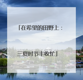 在希望的田野上：三夏时节丰收忙