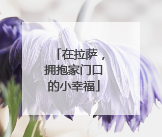 在拉萨，拥抱家门口的小幸福