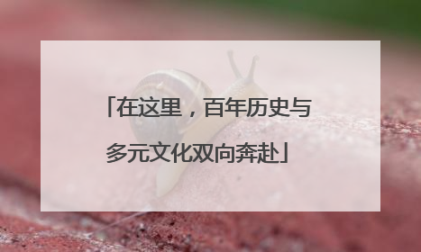 在这里，百年历史与多元文化双向奔赴