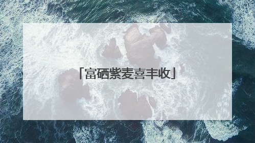富硒紫麦喜丰收