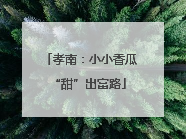 孝南：小小香瓜 “甜”出富路