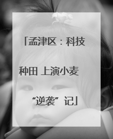孟津区：科技种田 上演小麦“逆袭”记