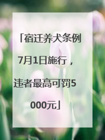 宿迁养犬条例7月1日施行，违者最高可罚5000元