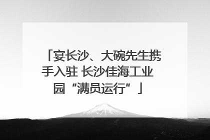 宴长沙、大碗先生携手入驻 长沙佳海工业园“满员运行”