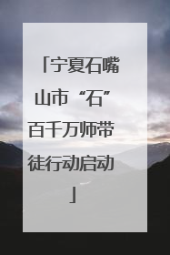 宁夏石嘴山市“石”百千万师带徒行动启动