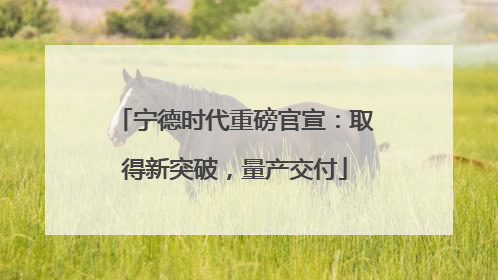 宁德时代重磅官宣：取得新突破，量产交付