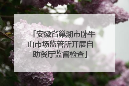 安徽省巢湖市卧牛山市场监管所开展自助餐厅监督检查