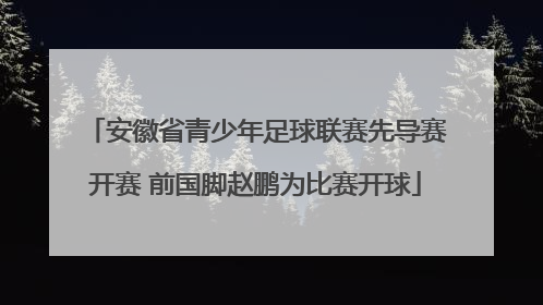 安徽省青少年足球联赛先导赛开赛 前国脚赵鹏为比赛开球