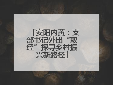 安阳内黄：支部书记外出“取经”探寻乡村振兴新路径