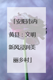 安阳市内黄县：文明新风浸润美丽乡村