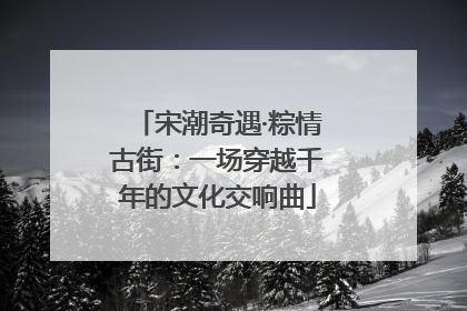 宋潮奇遇·粽情古街：一场穿越千年的文化交响曲
