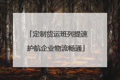 定制货运班列提速 护航企业物流畅通