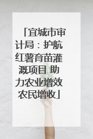 宜城市审计局：护航红薯育苗灌溉项目 助力农业增效农民增收