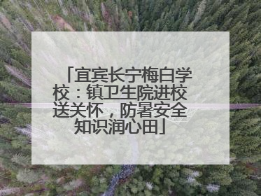 宜宾长宁梅白学校：镇卫生院进校送关怀，防暑安全知识润心田