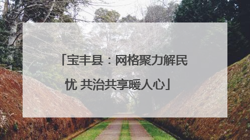 宝丰县：网格聚力解民忧 共治共享暖人心