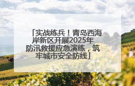 实战练兵！青岛西海岸新区开展2025年防汛救援应急演练，筑牢城市安全防线