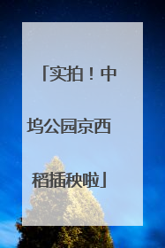 实拍！中坞公园京西稻插秧啦