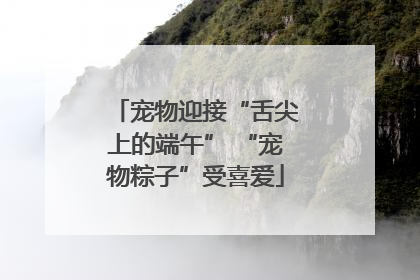 宠物迎接“舌尖上的端午” “宠物粽子”受喜爱