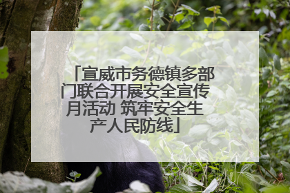 宣威市务德镇多部门联合开展安全宣传月活动 筑牢安全生产人民防线