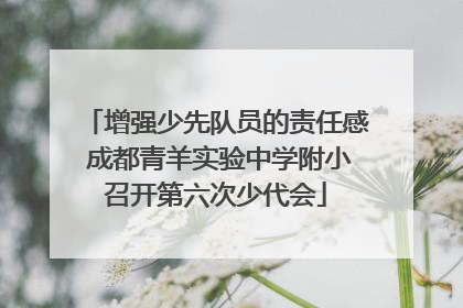 增强少先队员的责任感 成都青羊实验中学附小召开第六次少代会