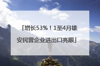 增长53%！1至4月雄安民营企业进出口亮眼