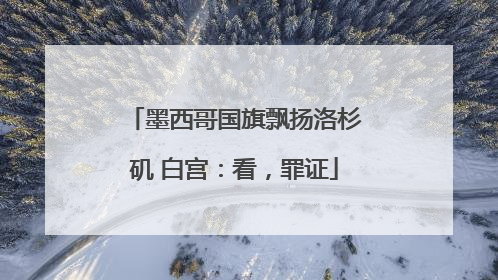 墨西哥国旗飘扬洛杉矶 白宫：看，罪证