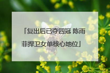 复出后已夺四冠 陈雨菲捍卫女单核心地位