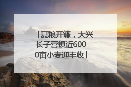 夏粮开镰，大兴长子营镇近6000亩小麦迎丰收