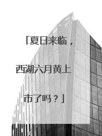 夏日来临，西湖六月黄上市了吗？