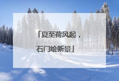 夏至荷风起，石门绘新景