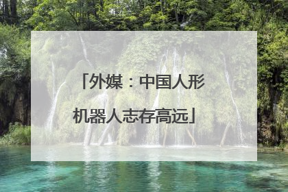 外媒：中国人形机器人志存高远