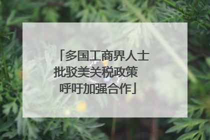 多国工商界人士批驳美关税政策 呼吁加强合作