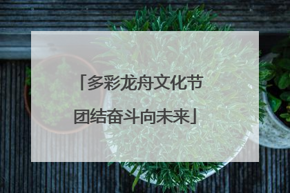 多彩龙舟文化节 团结奋斗向未来