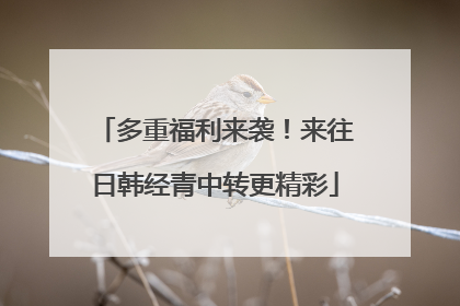 多重福利来袭！来往日韩经青中转更精彩