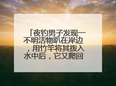 夜钓男子发现一不明活物趴在岸边，用竹竿将其拨入水中后，它又爬回岸边……