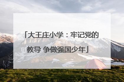 大王庄小学：牢记党的教导 争做强国少年