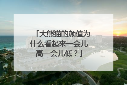 大熊猫的颜值为什么看起来一会儿高一会儿低？