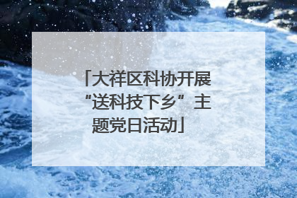 大祥区科协开展“送科技下乡”主题党日活动