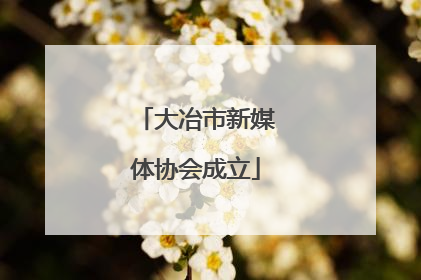 大冶市新媒体协会成立