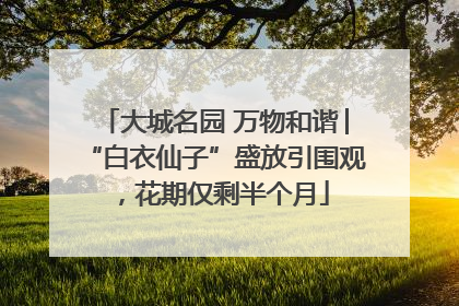 大城名园 万物和谐│“白衣仙子”盛放引围观，花期仅剩半个月
