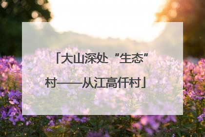 大山深处“生态”村——从江高仟村