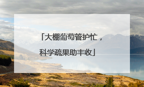 大棚葡萄管护忙，科学疏果助丰收