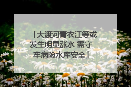 大渡河青衣江等或发生明显涨水 需守牢病险水库安全