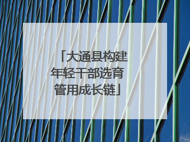 大通县构建年轻干部选育管用成长链