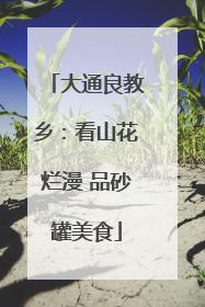 大通良教乡：看山花烂漫 品砂罐美食