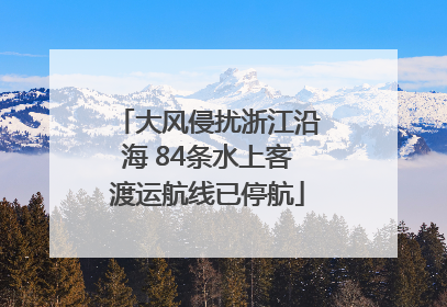 大风侵扰浙江沿海 84条水上客渡运航线已停航