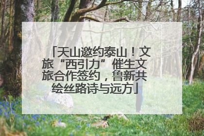 天山邀约泰山！文旅“西引力”催生文旅合作签约，鲁新共绘丝路诗与远方