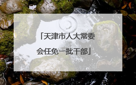 天津市人大常委会任免一批干部