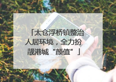 太仓浮桥镇整治人居环境，全力扮靓港城“颜值”